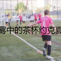 迷霧中的茶杯約克夏犬