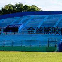 迷霧重重：金絲熊咬傷背后的致命危機