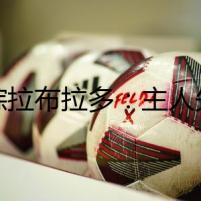 迷蹤拉布拉多：主人失蹤之謎