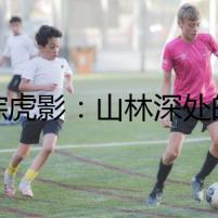迷蹤虎影：山林深處的密語