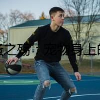 跳蚤之殤：寵物身上的隱形兇手