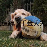 魔犬追蹤：千金犬失蹤之謎