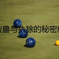 食蟻獸與犰狳的秘密約定