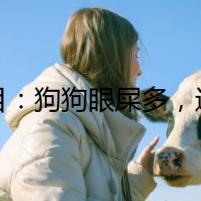 題目：狗狗眼屎多，還是喝板藍(lán)根吧