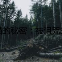 龍貓的秘密：被詛咒的毛絲鼠