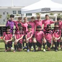 龍貓毛絲鼠，一案兩兇手