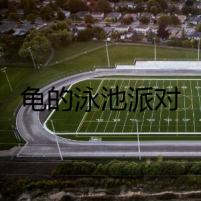 龜?shù)挠境嘏蓪?duì)