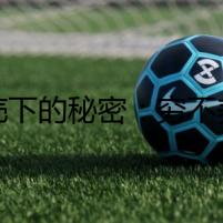 龜殼下的秘密：窮不養(yǎng)龜養(yǎng)窮一生