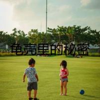 龜殼里的秘密