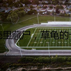 龜殼里藏尸，草龜?shù)氖陱?fù)仇記