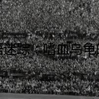 龜語迷蹤：嗜血烏龜的致命謎團
