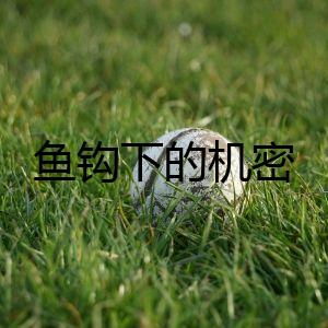魚鉤下的機(jī)密