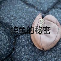 鯨魚的秘密