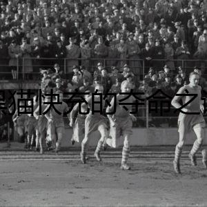 黑貓快充的奪命之謎