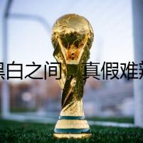 黑白之間，真假難辨