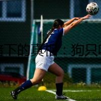 黑暗下的真相：狗只喝水不吃光趴著