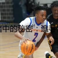 黑暗中的秘密：追尋普拉多2022款背后的詭謎