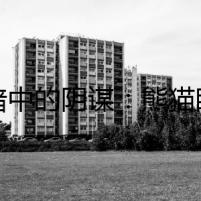 黑暗中的陰謀：熊貓眼的秘密