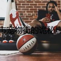 黑市寵物街的詭秘真相