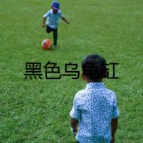 黑色烏龜缸