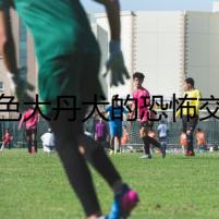 黑色大丹犬的恐怖交易