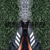 黑魚潭的秘密