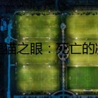 黃貍貓之眼：死亡的凝視
