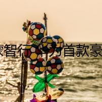 鴻蒙智行 華為首款豪華旗艦轎車享界S9官圖發(fā)布