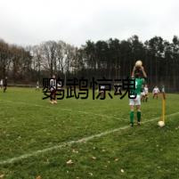 鸚鵡驚魂