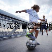 <h2>寵物盲盒里的秘密</h2>