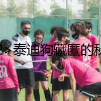<h2>泰迪狗藏匿的秘密</h2>