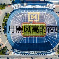 <h2>月黑風(fēng)高的夜晚，熊貓間的幽靈</h2>