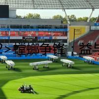 <h2>螳螂爭(zhēng)鋒：益與害的較量</h2>