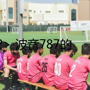 <h2> 波音787的機(jī)密</h2>