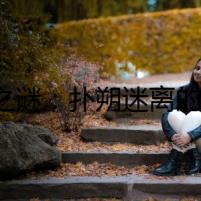 DT之謎：撲朔迷離的網(wǎng)絡(luò)尋蹤
