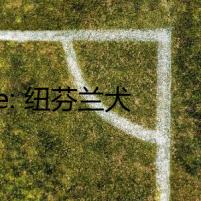 Title: 紐芬蘭犬與撲朔迷離的靈異事件
