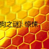 [[狼狗之謎]: 驚悚揭秘，誰是真正的幼崽父母？