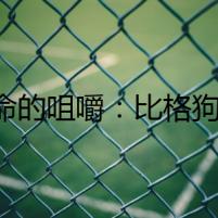 [致命的咀嚼：比格狗糧背后的秘密]