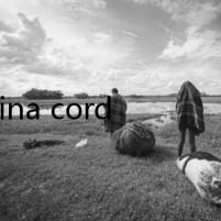canina cordis - 犬心寶之謎