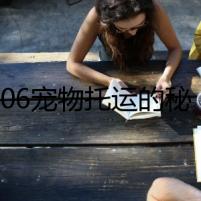 12306寵物托運(yùn)的秘密：神秘的貓咪