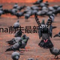 selina前夫最新消息承認(rèn)新戀情 新女友尹馨個(gè)人資料深扒引熱議