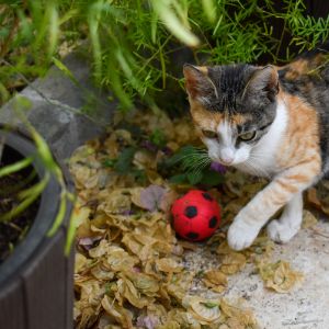 定海區(qū)啟動高技巧人才崗位補貼申報工作 申報截止日期2月14日