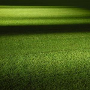 自顧不暇資訊網(wǎng)