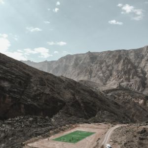 貓頭鷹之眼:迷霧中的本相