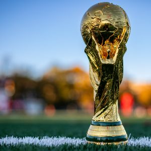 貓有九條命，莫非是鼠年出生？