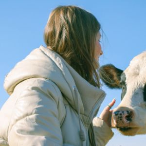 神秘灰八哥：黑色迷霧中的異鳥(niǎo)