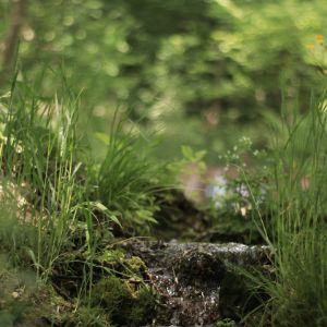 五一”假期，浙江人出行首選快速便捷 高鐵、民航、自駕最受歡迎