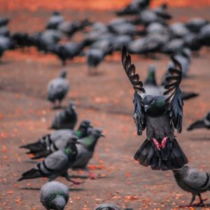 自顧不暇資訊網(wǎng)