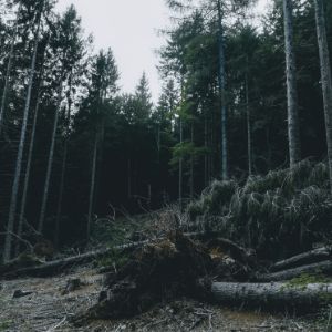 自顧不暇資訊網(wǎng)