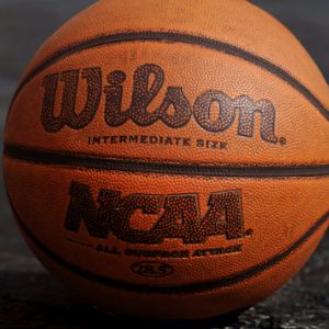 狗狗的玩偶里藏了什么機密